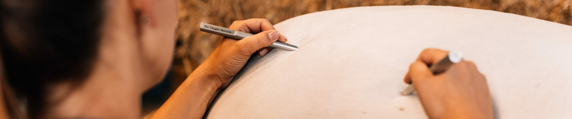 Dier & Osteopathie Marit Brandsema